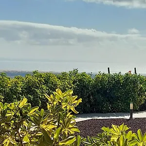 Casa rural The Black Horse Canarias - Adults Only, Maspalomas (Gran Canaria)